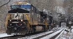 Norfolk Southern 